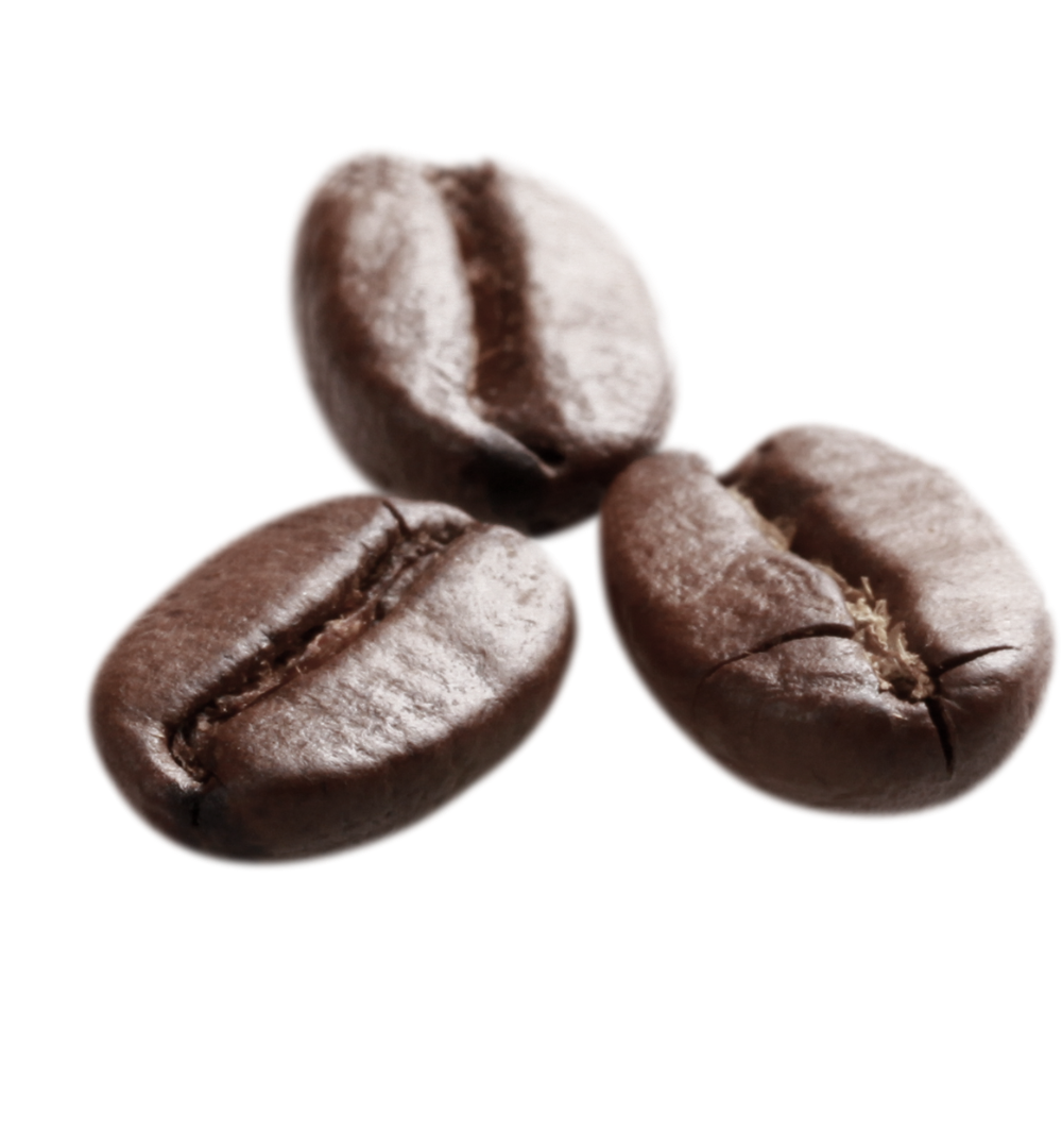beans.png